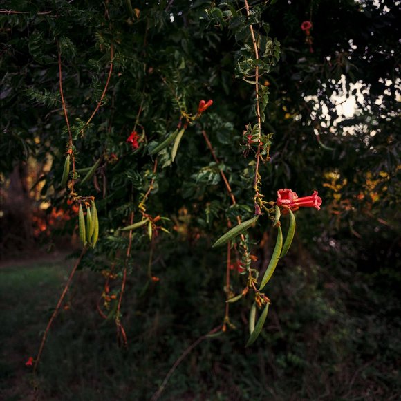 Meet your Posher, Benjamin - Picture 1 of 1